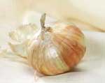 Walla Walla Onion